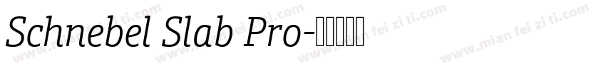 Schnebel Slab Pro字体转换